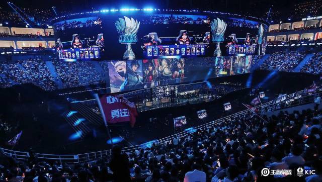 成长与转会 成长与转会